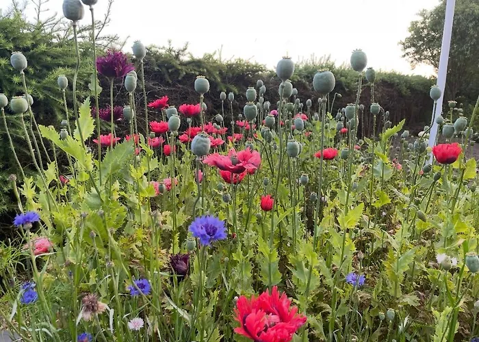 Bed and breakfast Nyager 3*